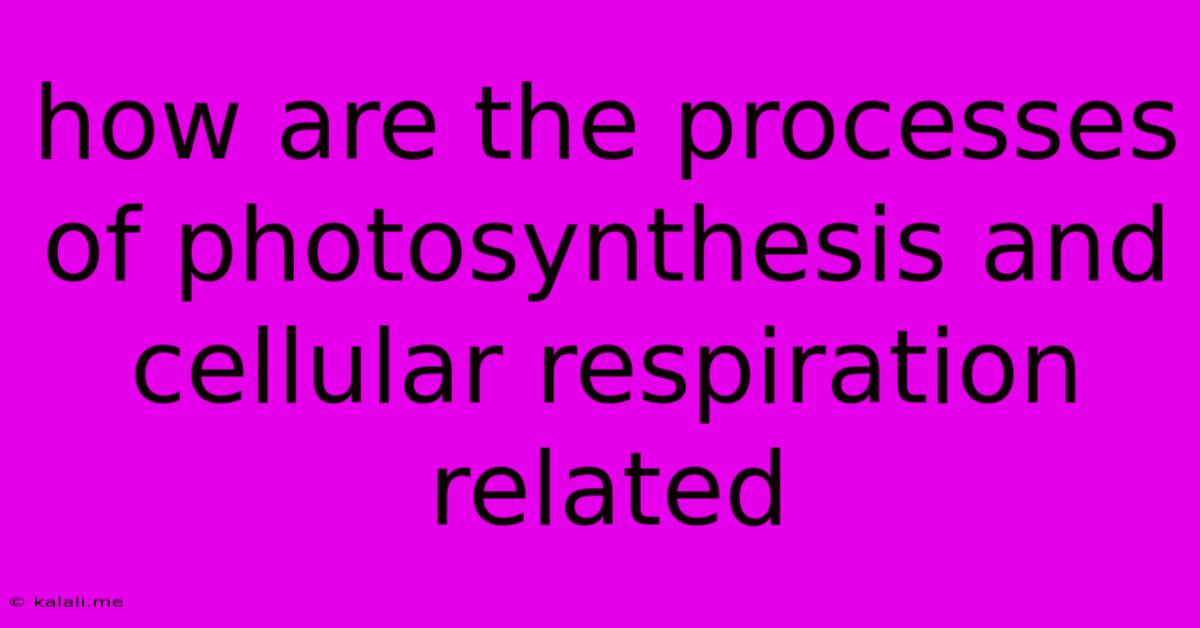 How Are The Processes Of Photosynthesis And Cellular Respiration Related