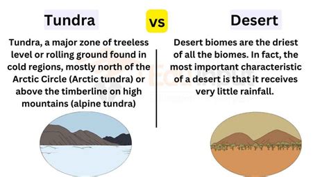 How Are Tundra And Desert Alike