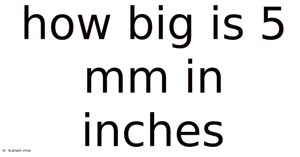 How Big Is 5 Mm In Inches