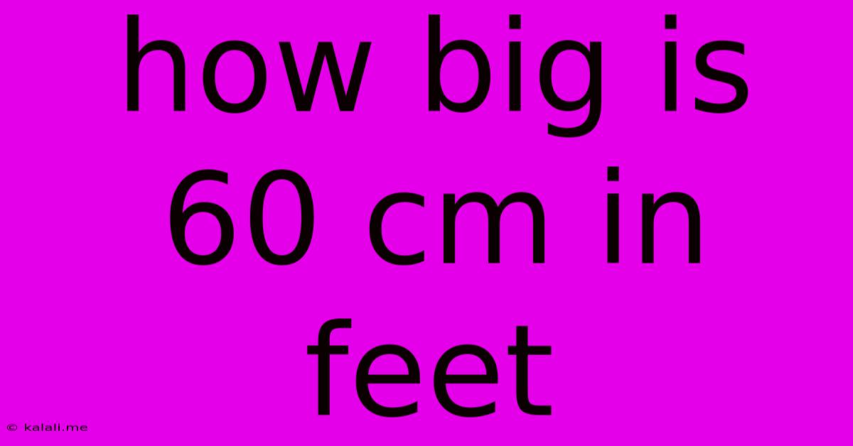 How Big Is 60 Cm In Feet