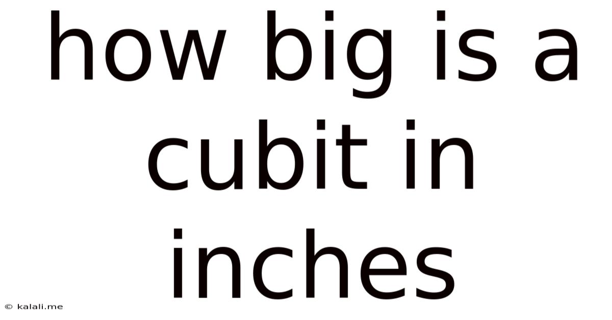 How Big Is A Cubit In Inches