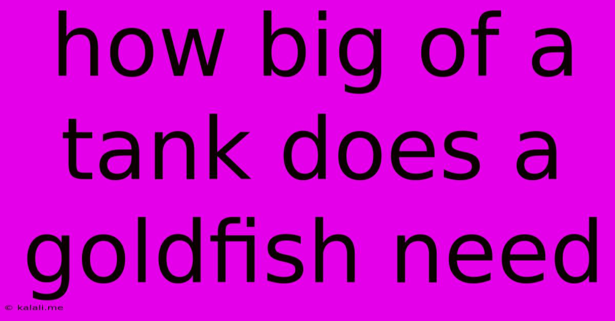 How Big Of A Tank Does A Goldfish Need