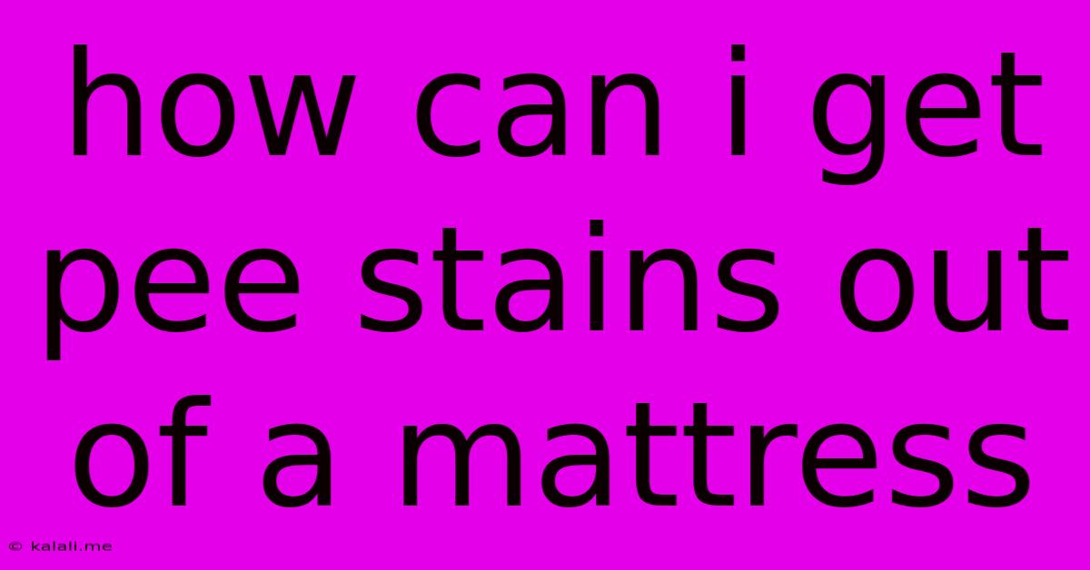 How Can I Get Pee Stains Out Of A Mattress