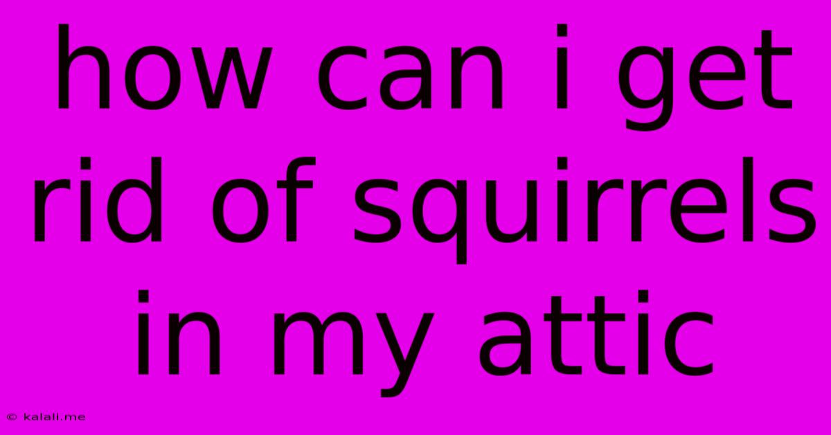 How Can I Get Rid Of Squirrels In My Attic