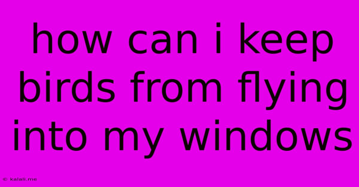 How Can I Keep Birds From Flying Into My Windows