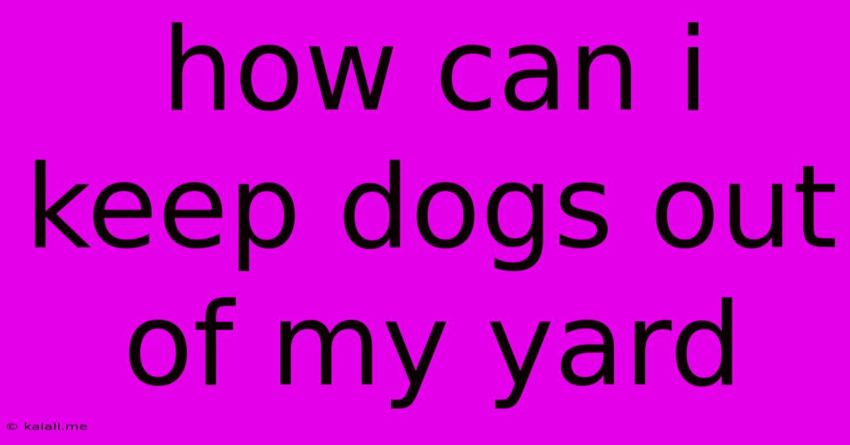How Can I Keep Dogs Out Of My Yard