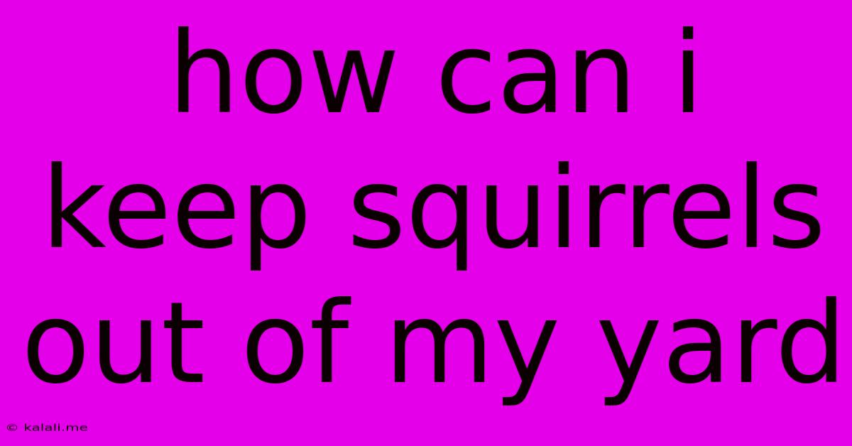 How Can I Keep Squirrels Out Of My Yard