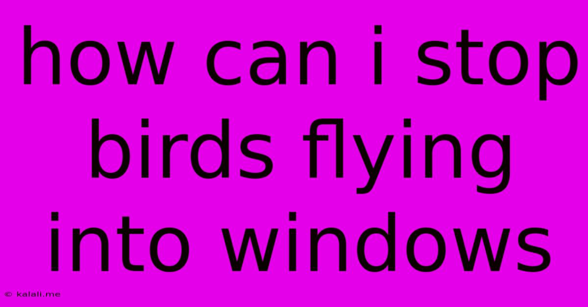 How Can I Stop Birds Flying Into Windows