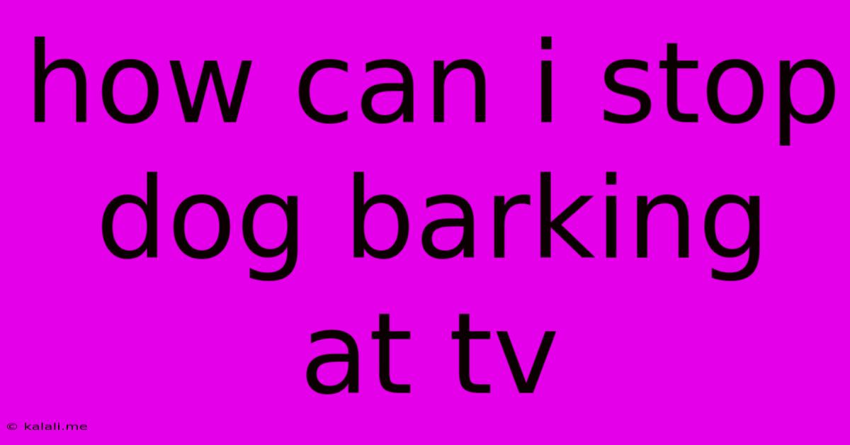 How Can I Stop Dog Barking At Tv