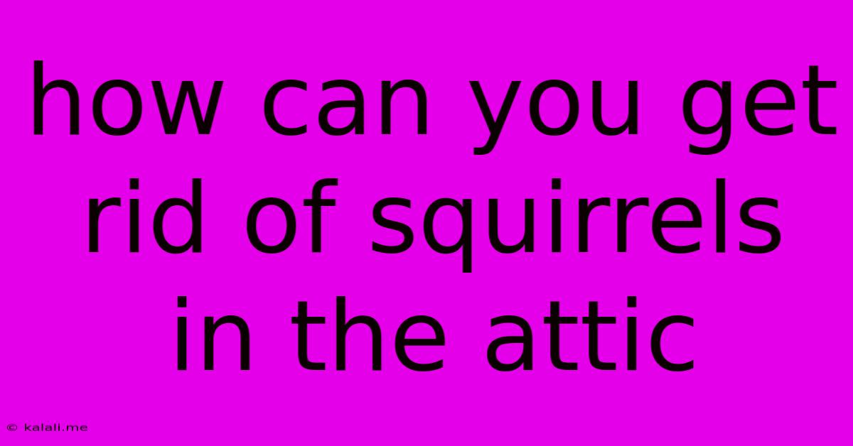 How Can You Get Rid Of Squirrels In The Attic