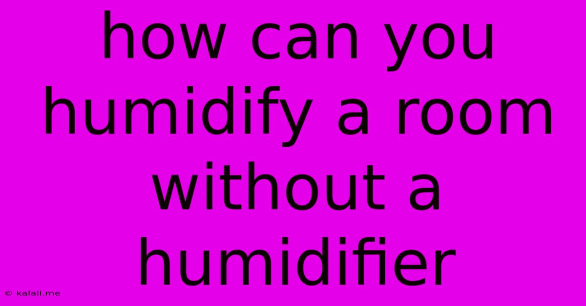 How Can You Humidify A Room Without A Humidifier
