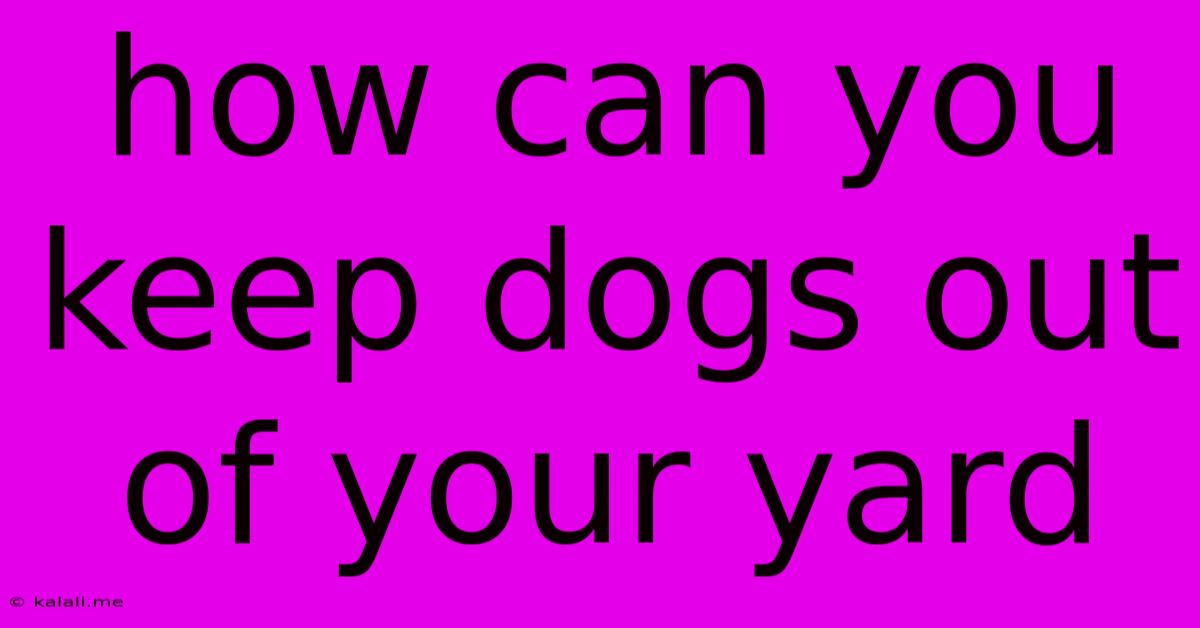 How Can You Keep Dogs Out Of Your Yard