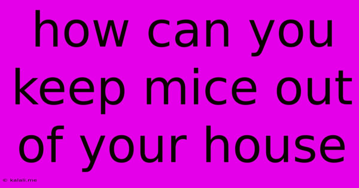 How Can You Keep Mice Out Of Your House