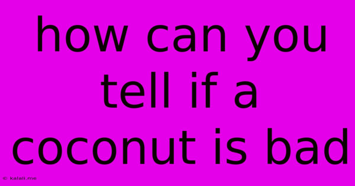 How Can You Tell If A Coconut Is Bad