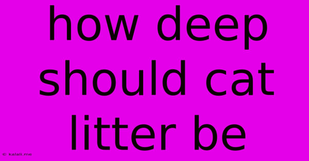 How Deep Should Cat Litter Be
