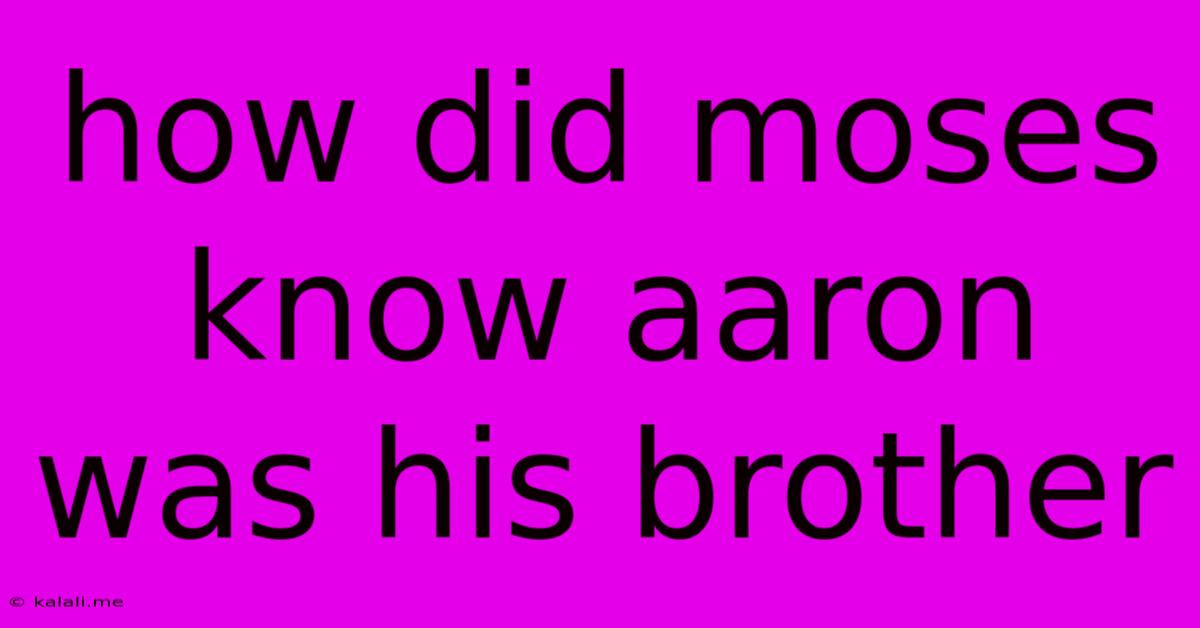 How Did Moses Know Aaron Was His Brother
