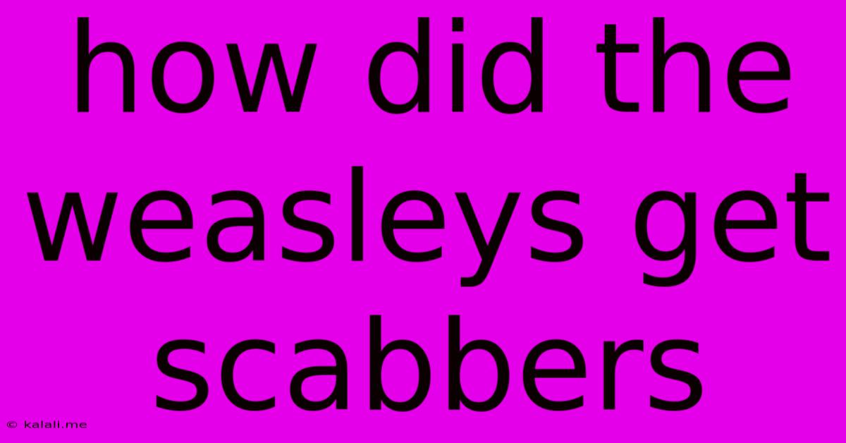How Did The Weasleys Get Scabbers