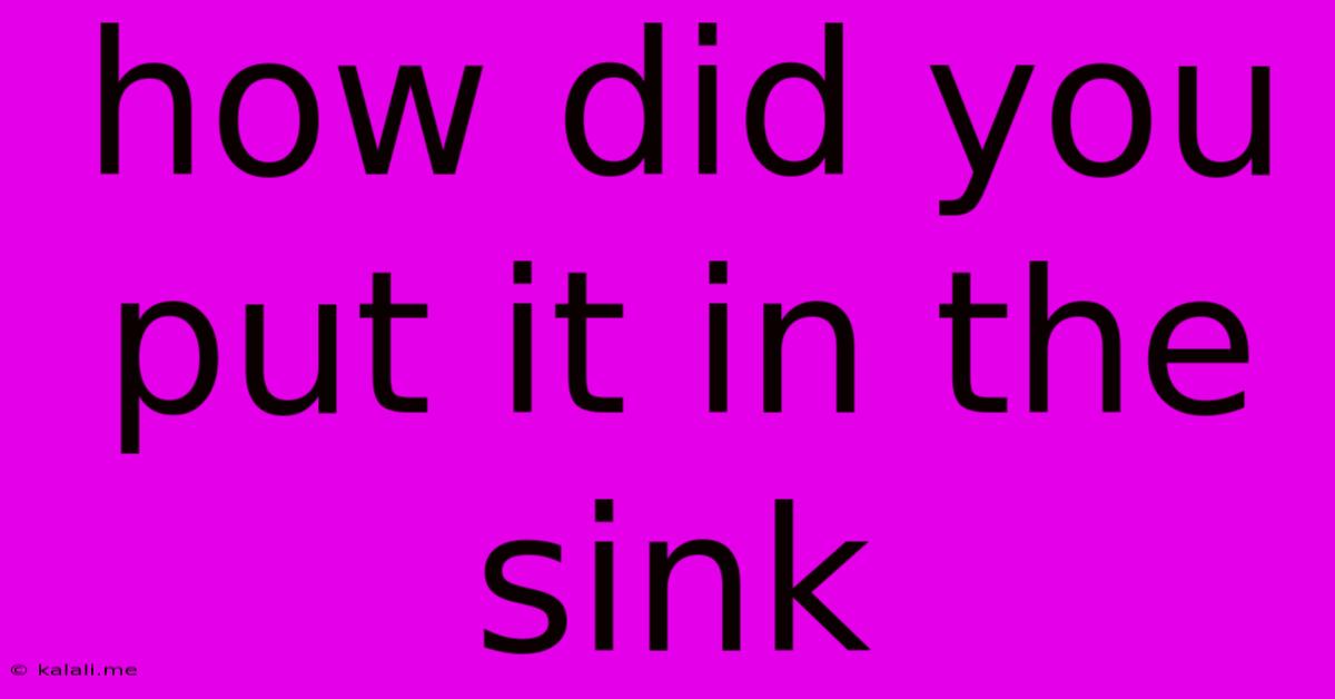 How Did You Put It In The Sink