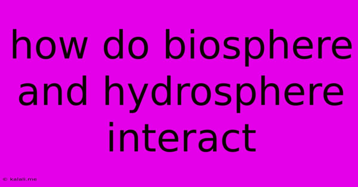 How Do Biosphere And Hydrosphere Interact