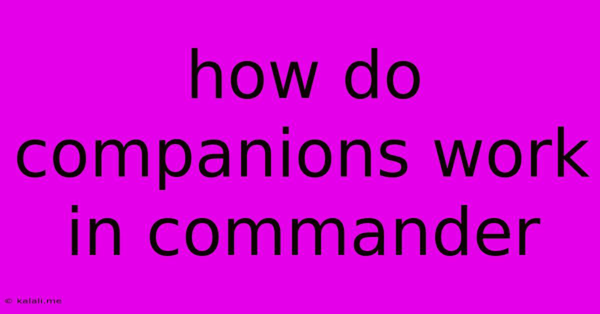 How Do Companions Work In Commander