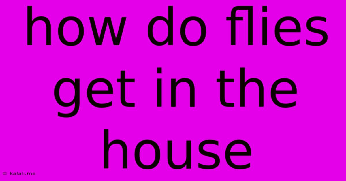 How Do Flies Get In The House