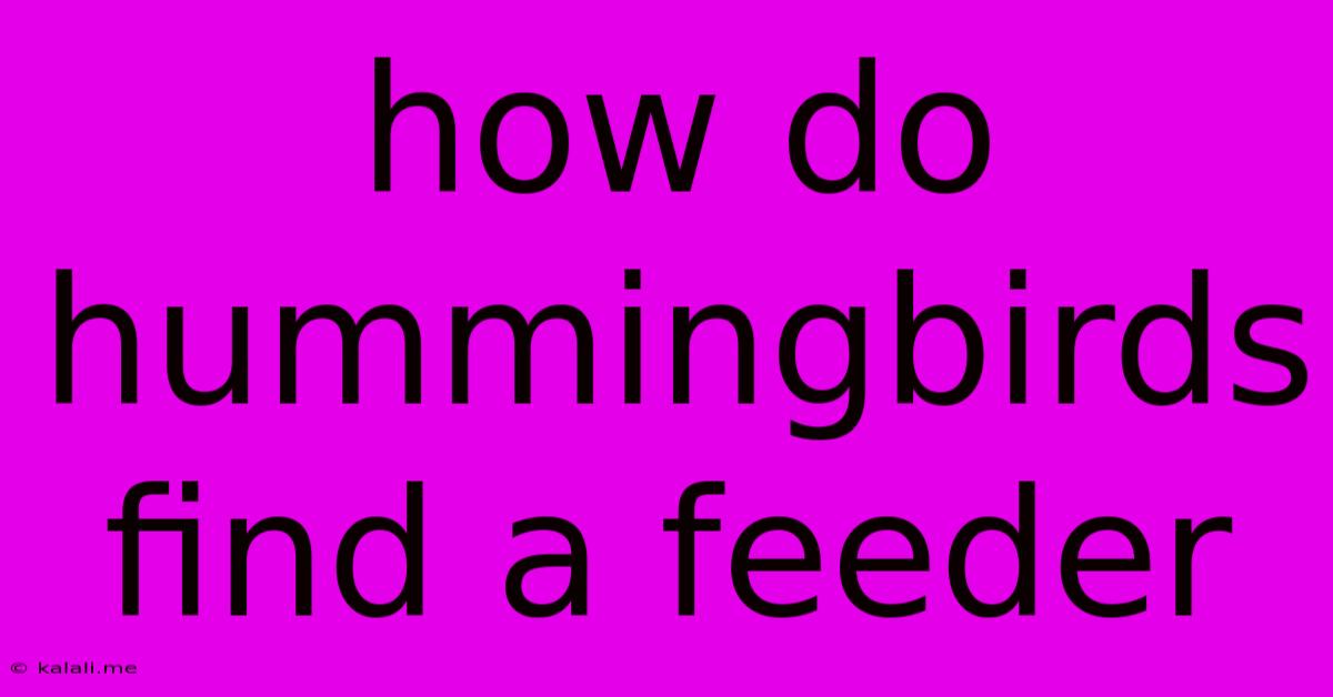 How Do Hummingbirds Find A Feeder