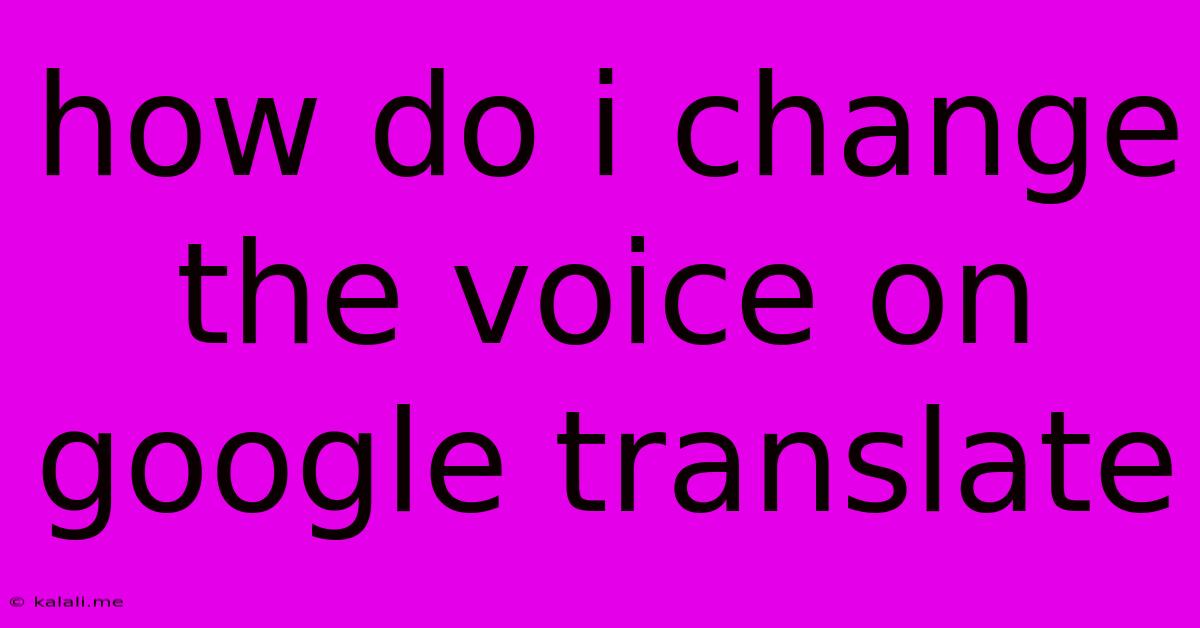 How Do I Change The Voice On Google Translate