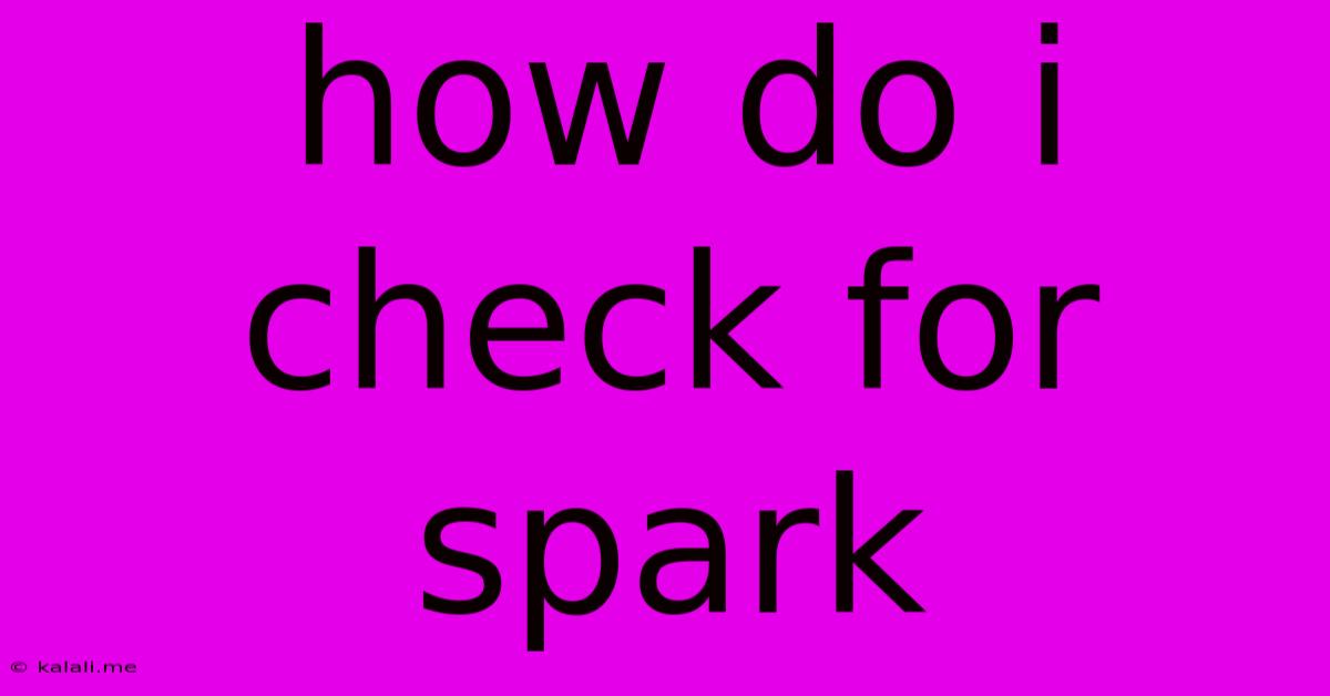 How Do I Check For Spark