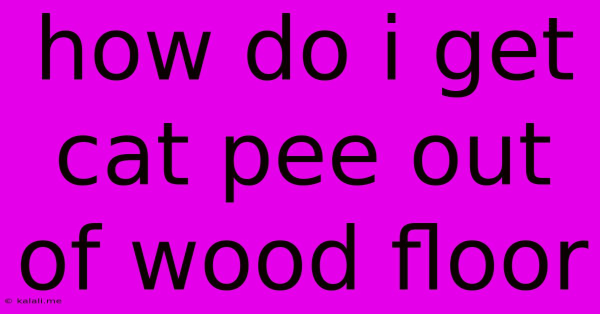 How Do I Get Cat Pee Out Of Wood Floor