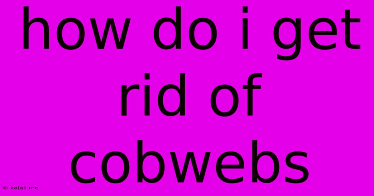 How Do I Get Rid Of Cobwebs