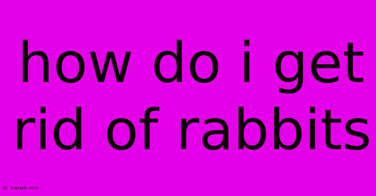 How Do I Get Rid Of Rabbits