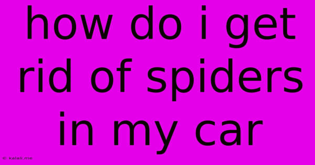 How Do I Get Rid Of Spiders In My Car