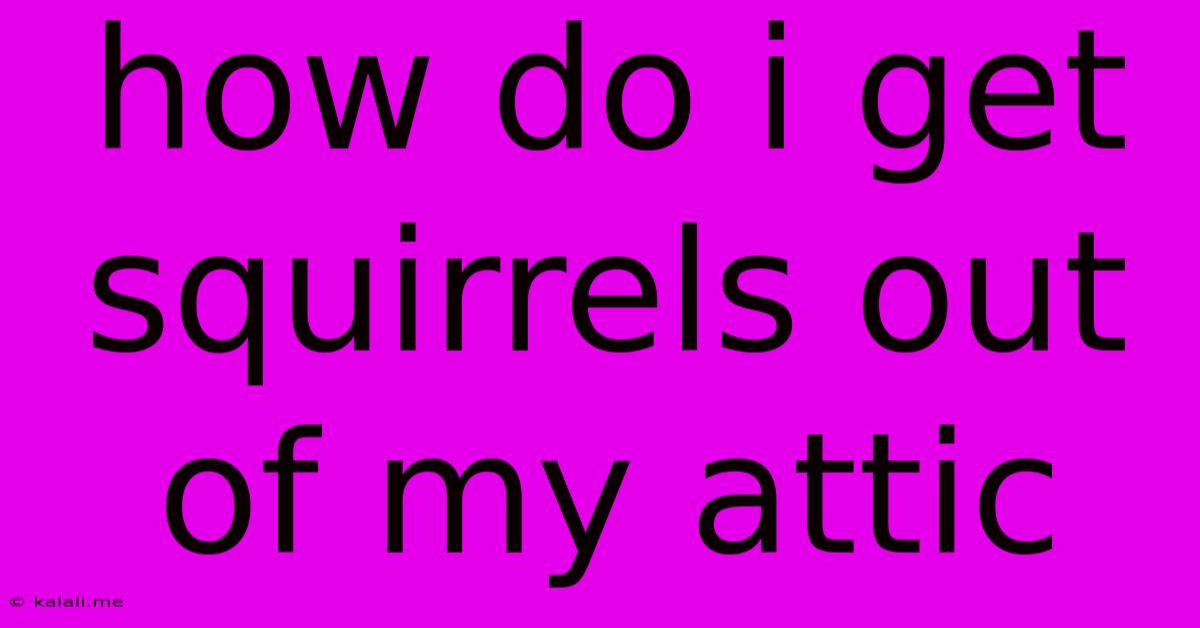 How Do I Get Squirrels Out Of My Attic