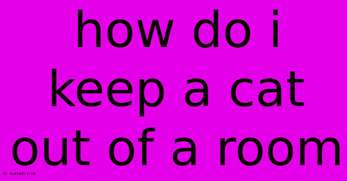 How Do I Keep A Cat Out Of A Room