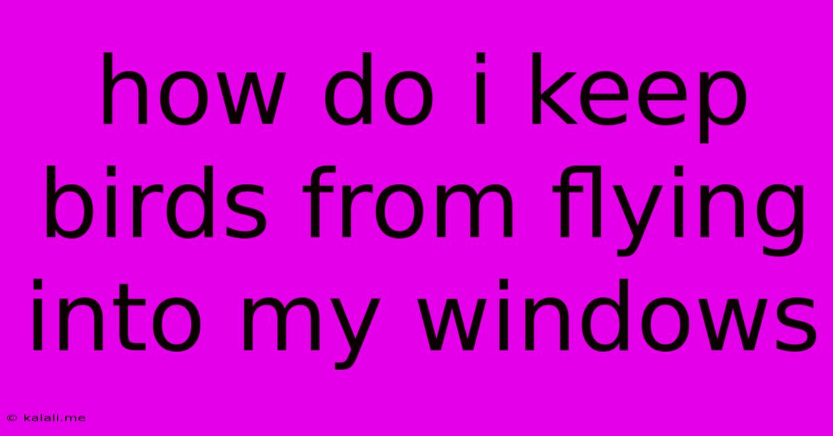 How Do I Keep Birds From Flying Into My Windows