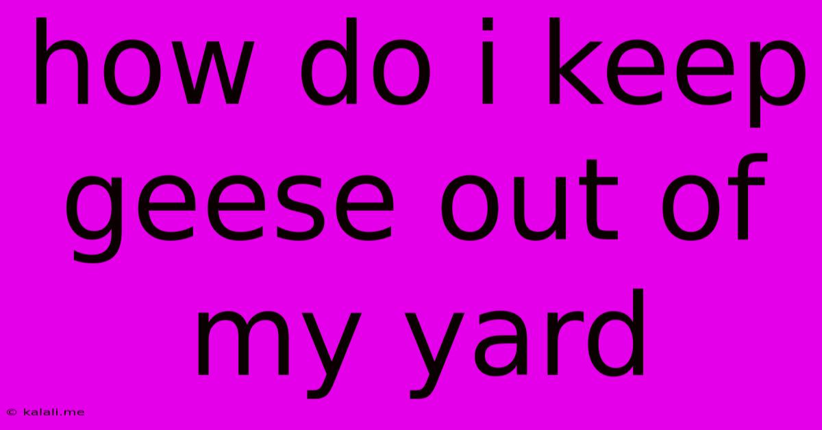 How Do I Keep Geese Out Of My Yard