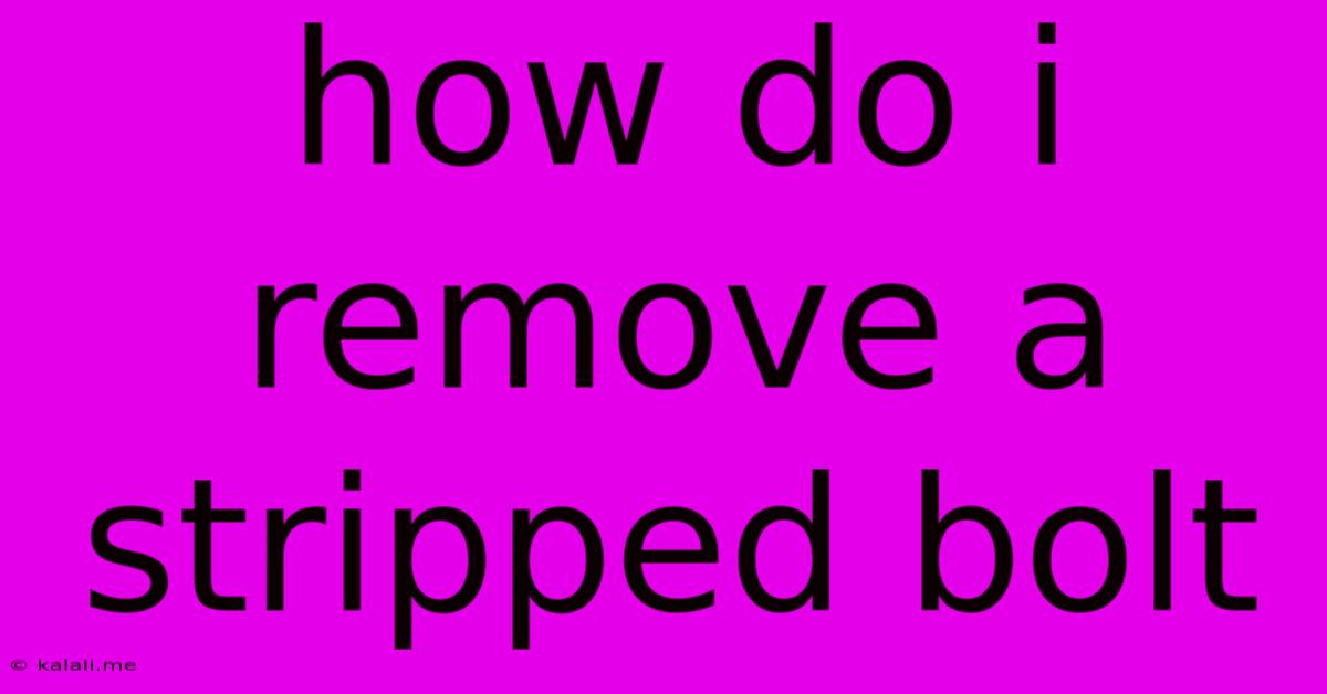 How Do I Remove A Stripped Bolt