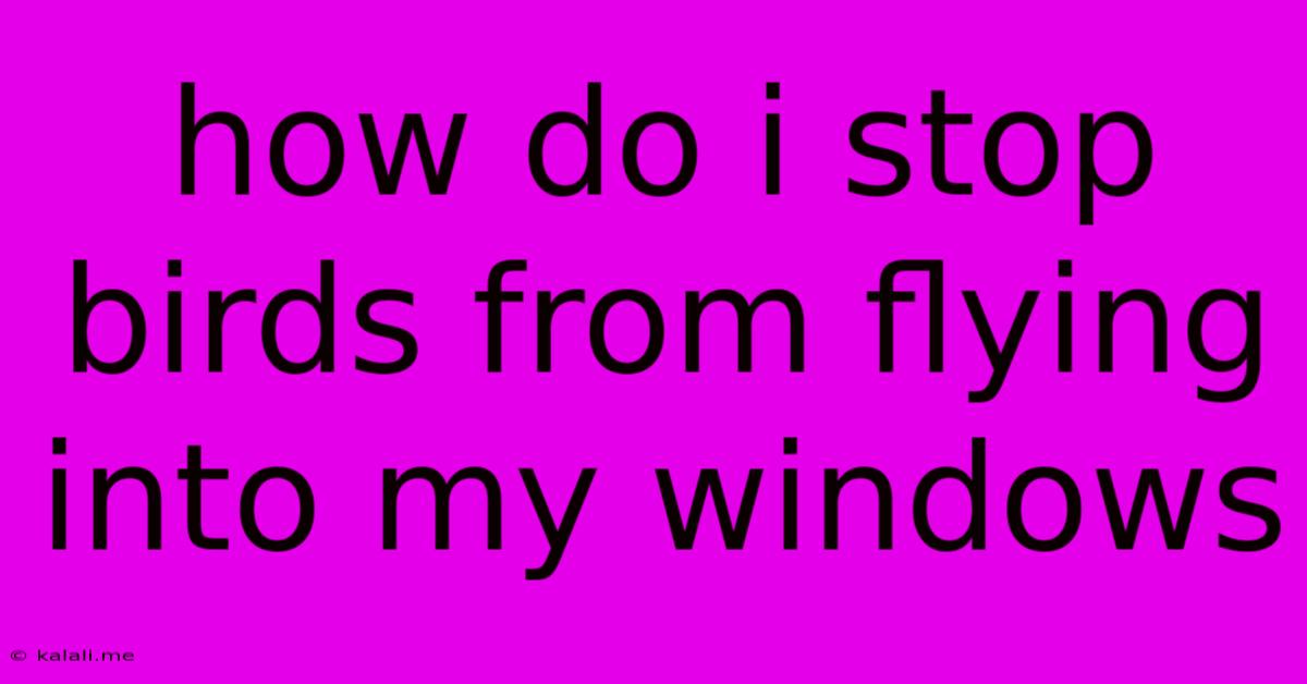 How Do I Stop Birds From Flying Into My Windows