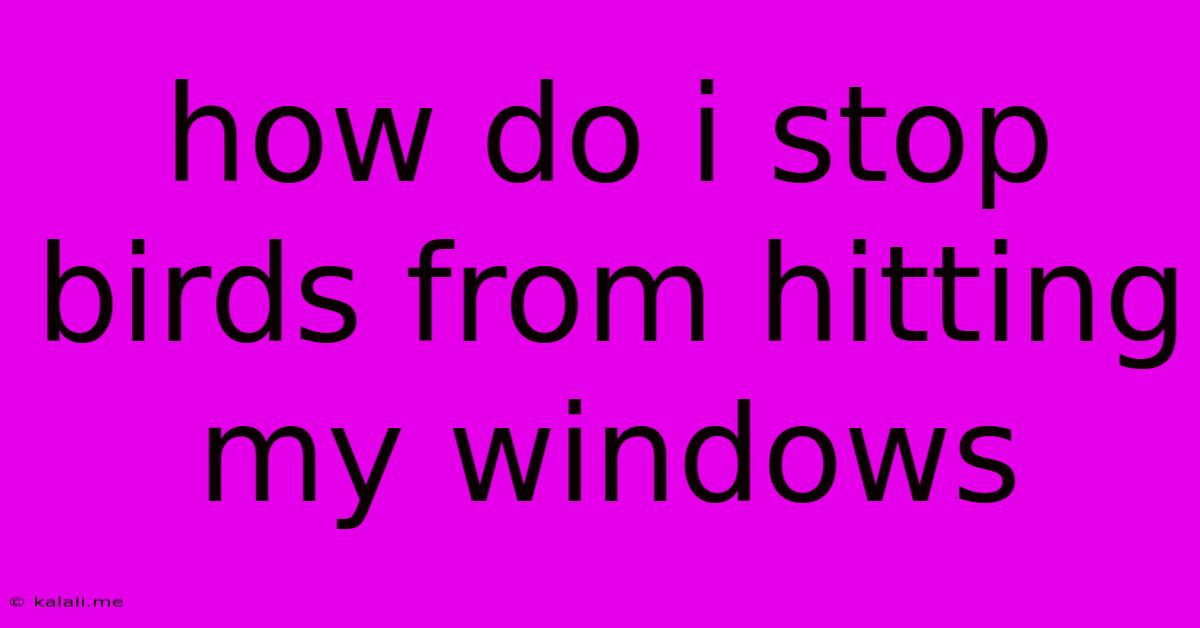 How Do I Stop Birds From Hitting My Windows