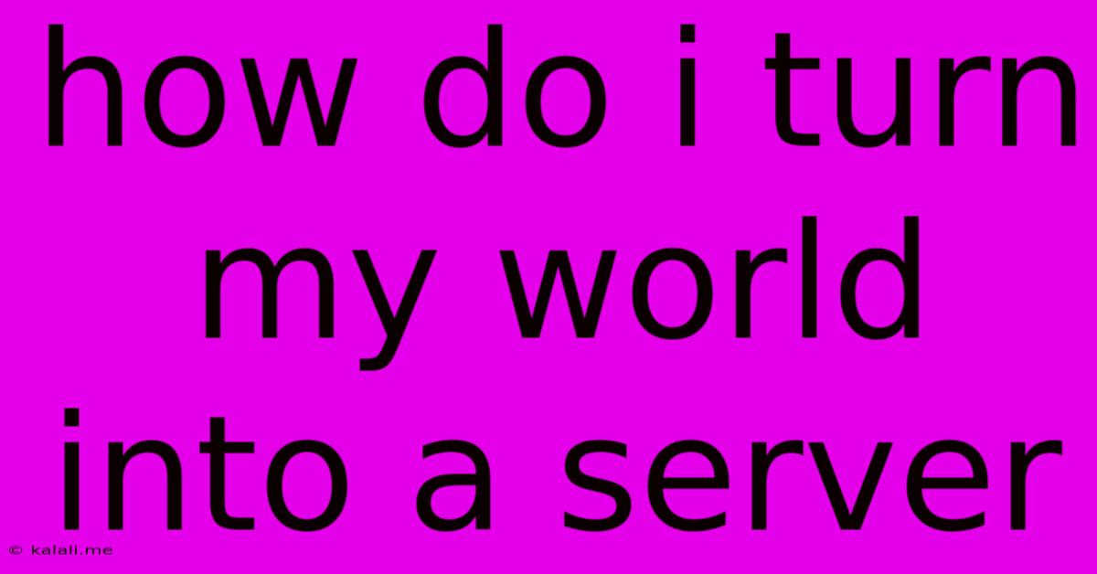 How Do I Turn My World Into A Server
