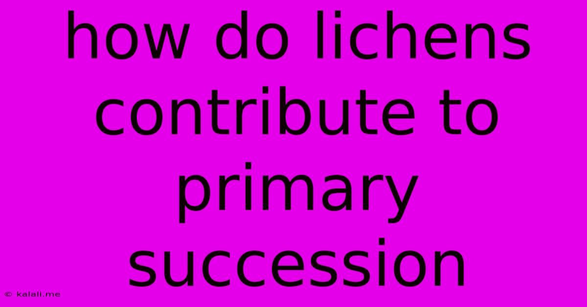 How Do Lichens Contribute To Primary Succession