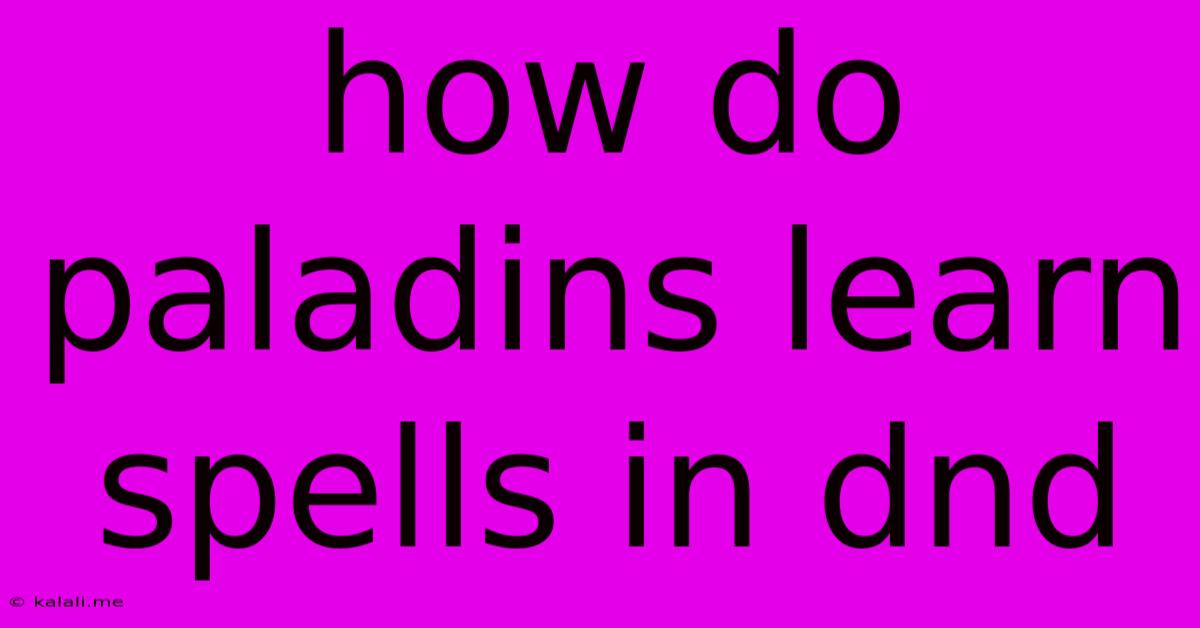 How Do Paladins Learn Spells In Dnd