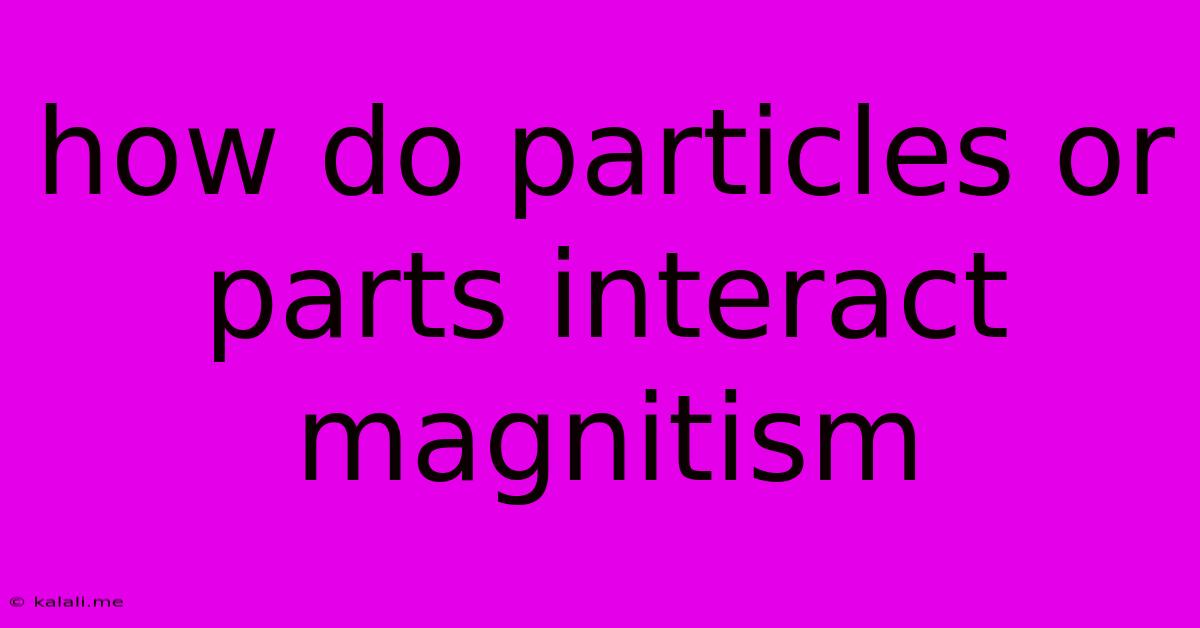 How Do Particles Or Parts Interact Magnitism