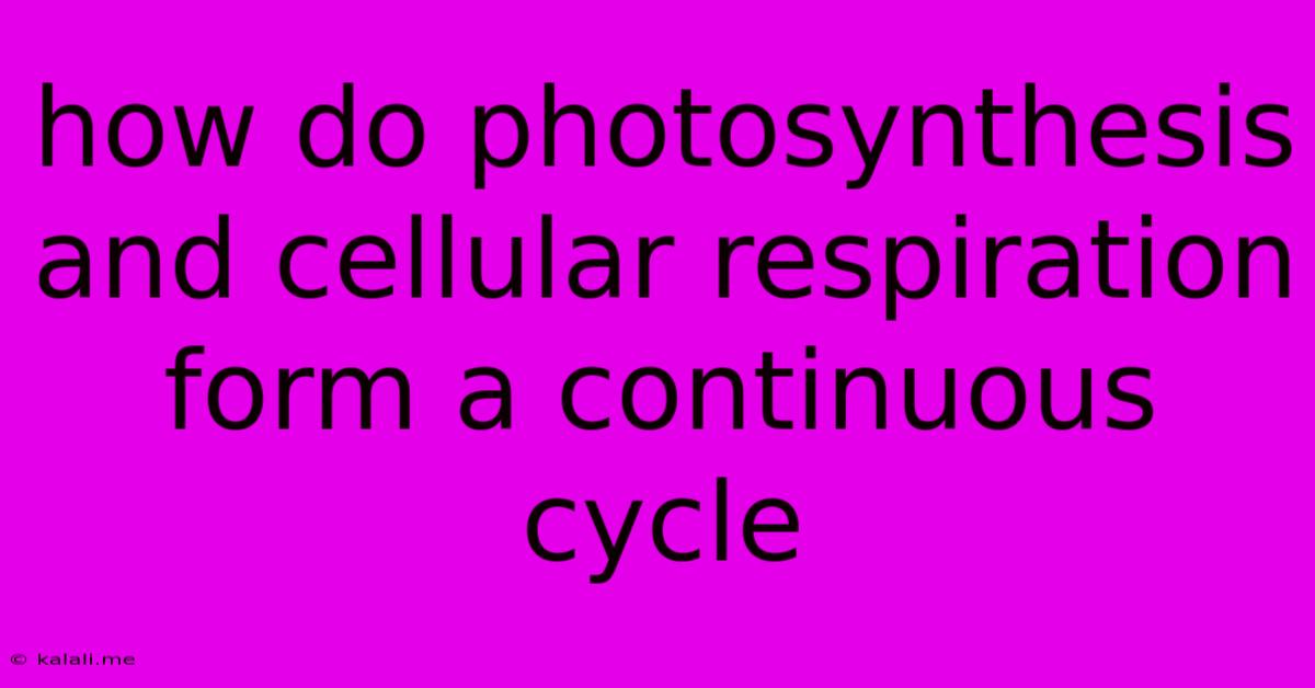 How Do Photosynthesis And Cellular Respiration Form A Continuous Cycle