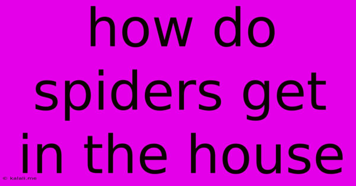 How Do Spiders Get In The House