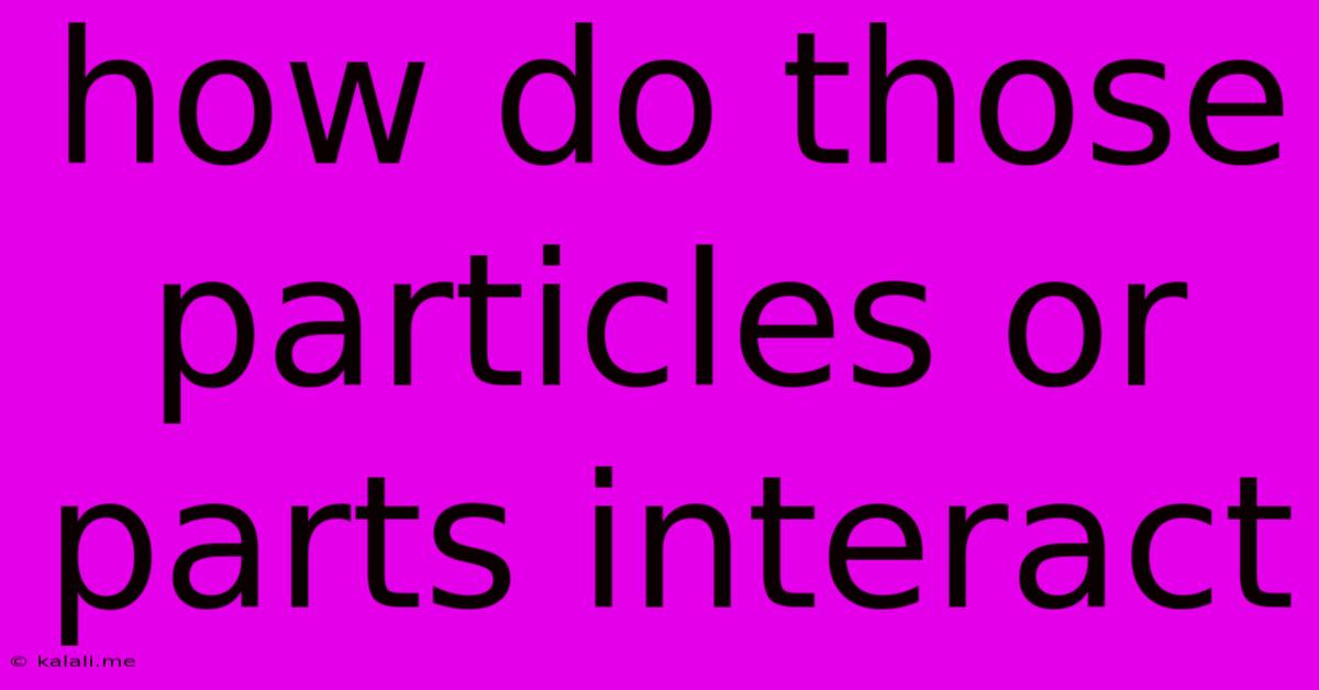 How Do Those Particles Or Parts Interact
