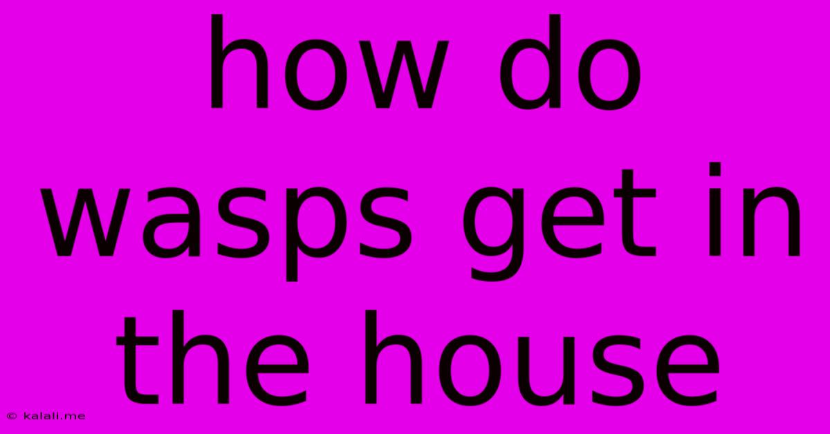 How Do Wasps Get In The House