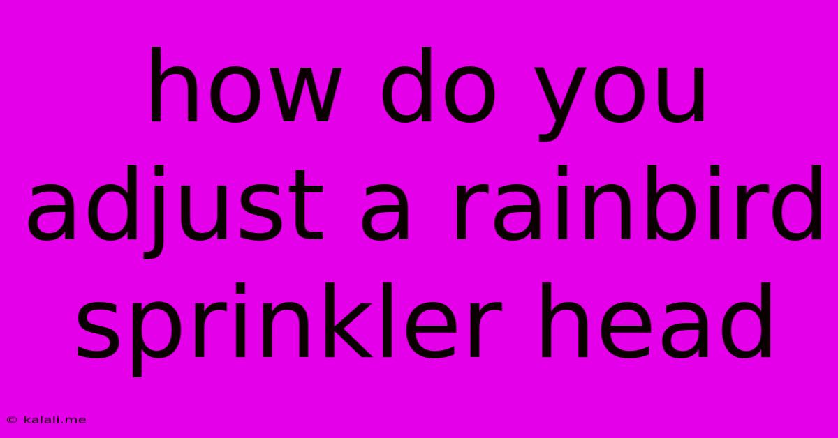 How Do You Adjust A Rainbird Sprinkler Head