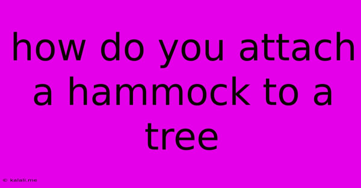 How Do You Attach A Hammock To A Tree
