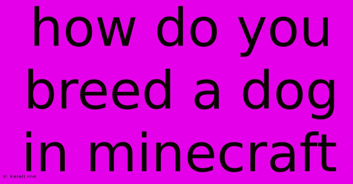 How Do You Breed A Dog In Minecraft